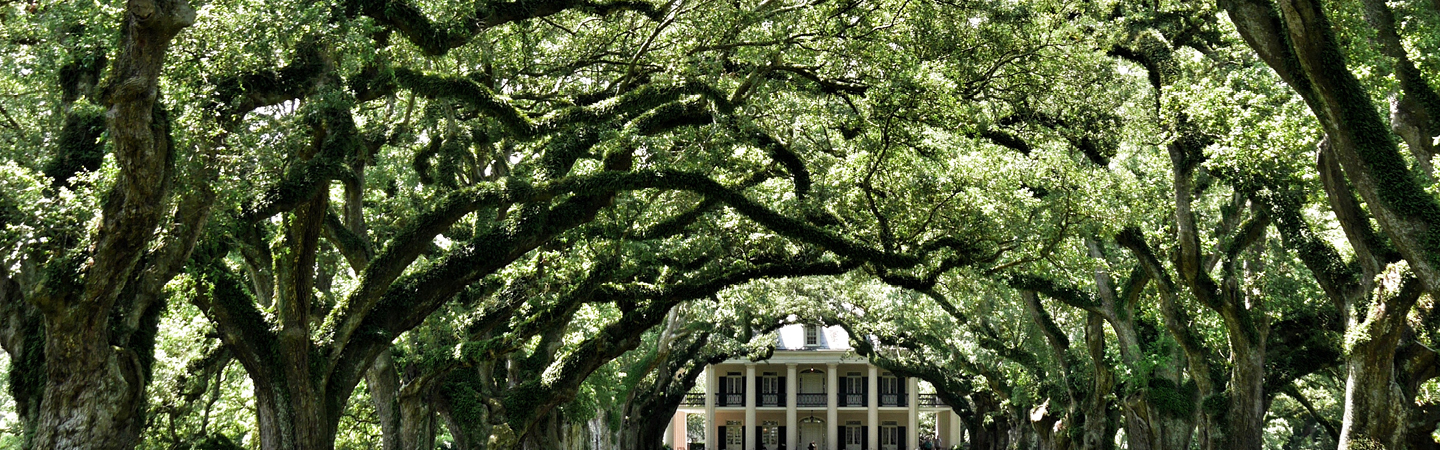 Estate Tax Strategies for Business Owners