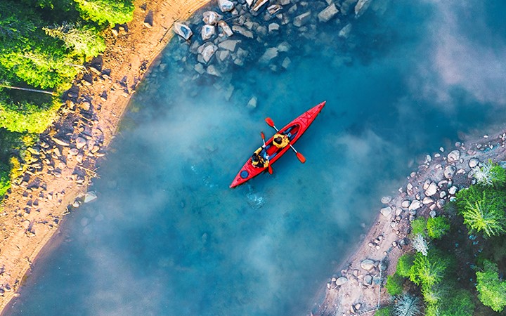 Managing volatility: Strategies for a diversification-scarce market