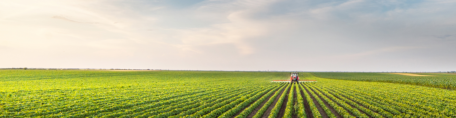 Seeking yield beyond duration – resilience with duration risk mitigation