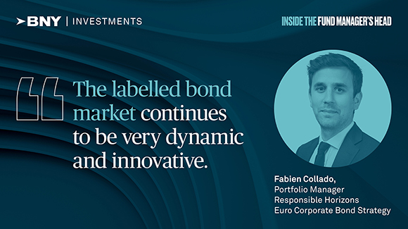 Assessing Europe's labelled bond market