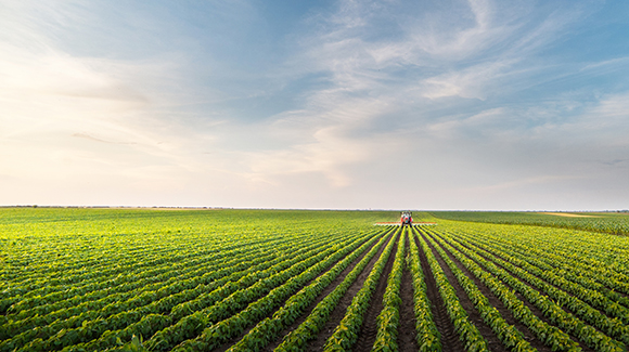 Seeking yield beyond duration – resilience with duration risk mitigation
